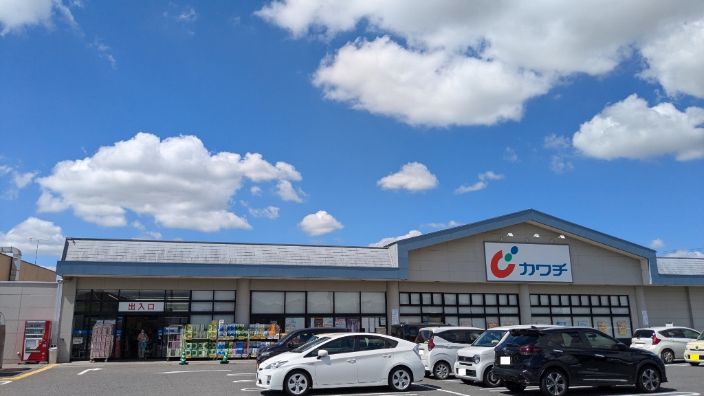 ドラックストア　カワチ薬品 上三川店（ドラッグストア）まで954m