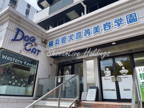 その他　横浜愛犬高等美容学園（その他）まで164m