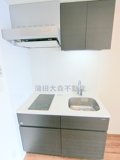 キッチン　2口IHシステムキッチン