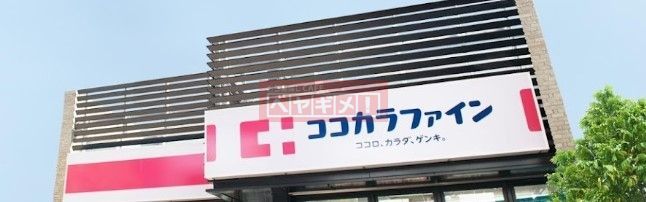 ドラックストア　ヘルスケアセイジョー戸越公園店（ドラッグストア）まで160m