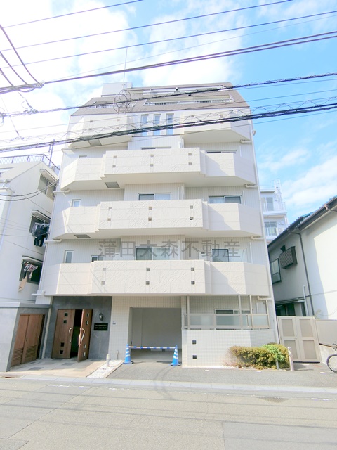 建物外観　2005年9月築　RC鉄筋コンクリート造地上7階建ての人気賃