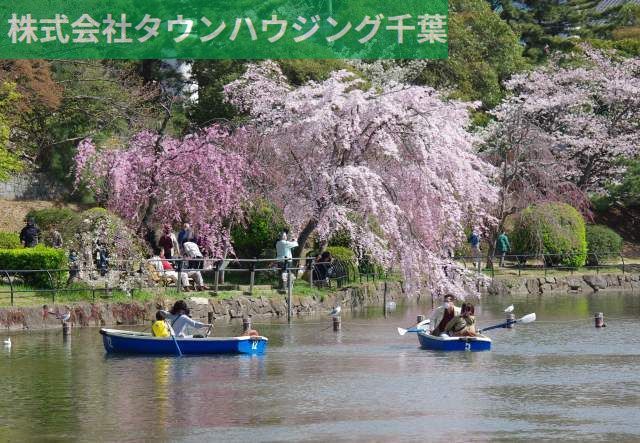 その他　千葉公園（その他）まで120m