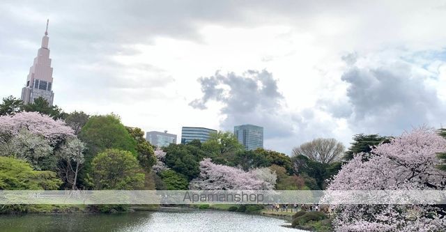 フラッフィー市谷台町の周辺写真
