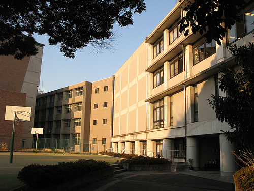 大学・短大　国立東京芸術大学（大学・短大）まで442m