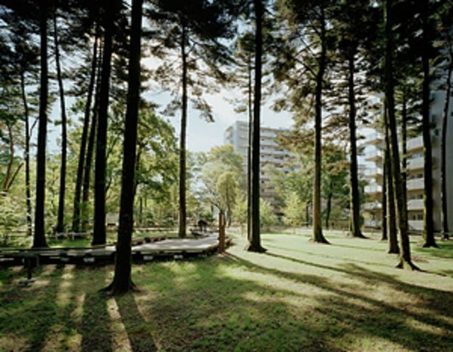 公園　日野緑地（公園）まで725m