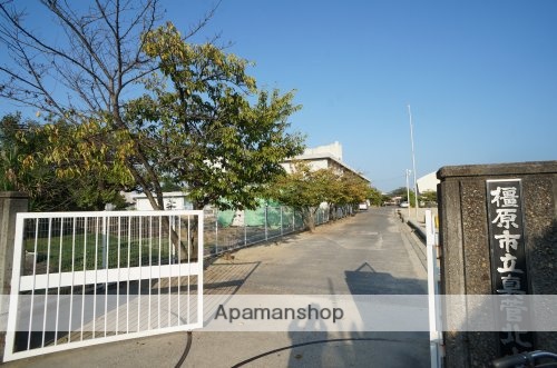 小学校　橿原市立真菅北小学校（小学校）まで503m