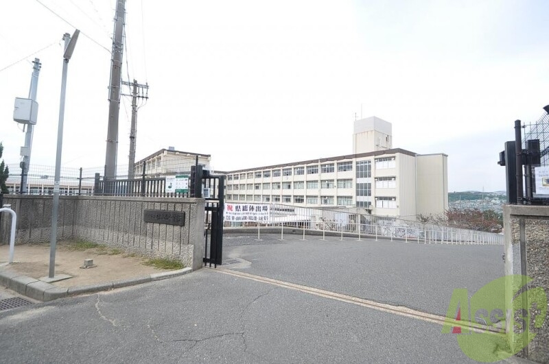 中学校　神戸市立桃山台中学校（中学校）まで1014m