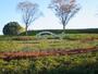 公園　昭和の森（公園）まで672m
