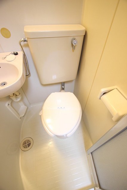 トイレ　同物件別号室の写真