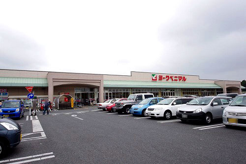 スーパー　ヨークベニマル細谷店（スーパー）まで599m