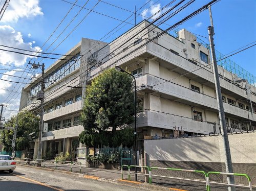 小学校　文京区立 金富小学校（小学校）まで525m