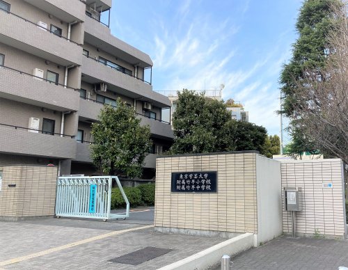 中学校　東京学芸大学附属竹早中学校（中学校）まで345m