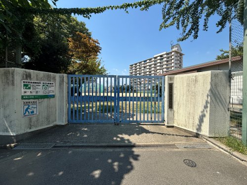 小学校　尼崎市立浦風小学校（小学校）まで173m