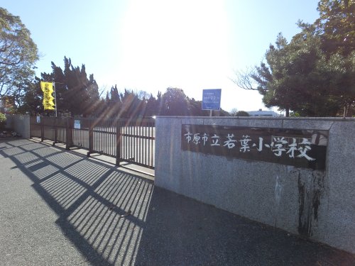 小学校　市原市立若葉小学校（小学校）まで1114m