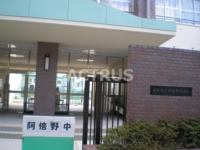 中学校　大阪市立阿倍野中学校（中学校）まで886m