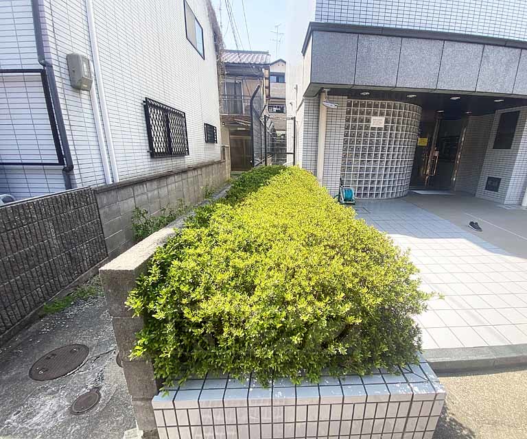 庭