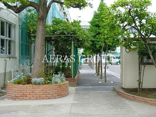 小学校　江戸川区立江戸川小学校（小学校）まで340m