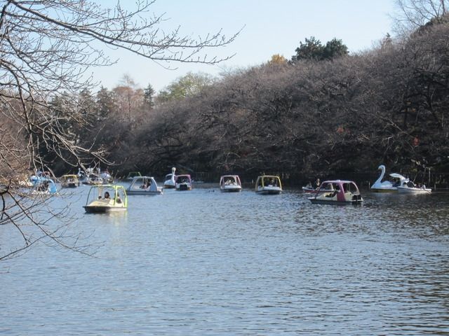 公園　井の頭恩賜公園（公園）まで2700m