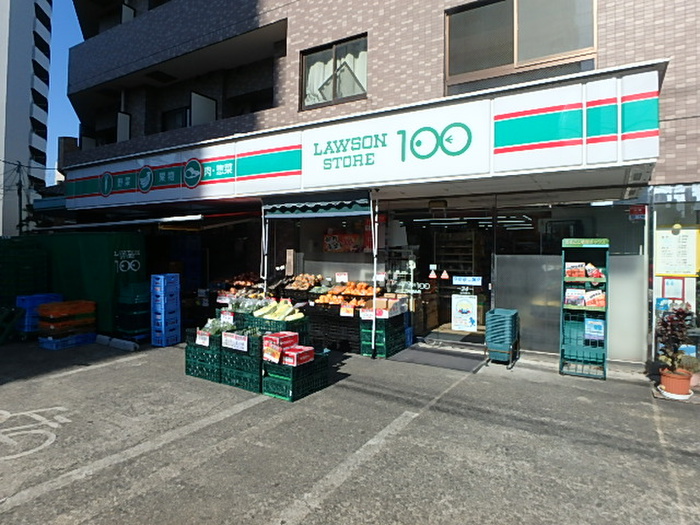 コンビニ　ローソンストア100（コンビニ）まで171m