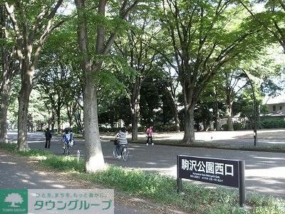 公園　世田谷公園（公園）まで357m