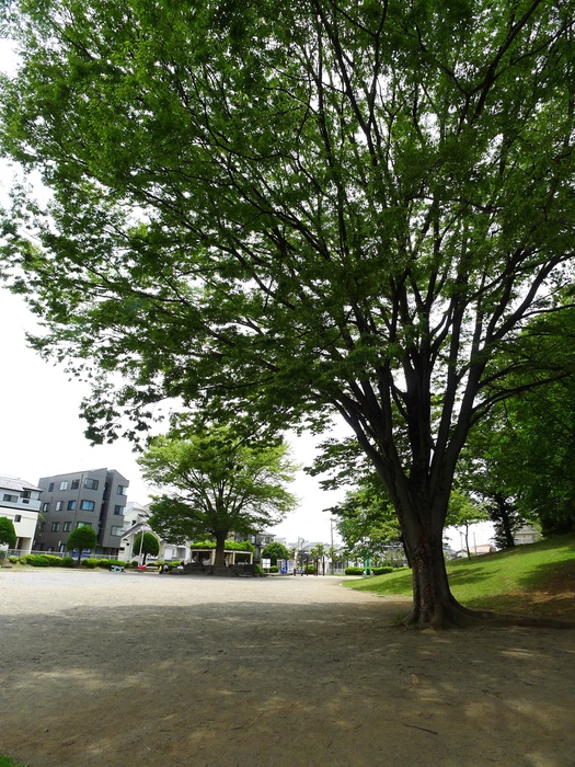 公園　東浦和中央公園（公園）まで1600m