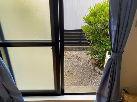 庭