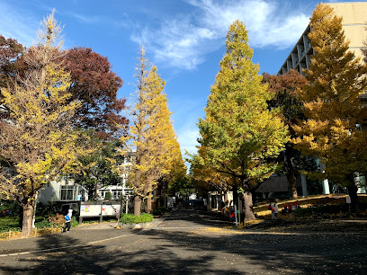 大学・短大　慶應義塾 日吉キャンパス（大学・短大）まで550m