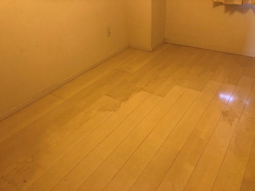 その他部屋・スペース　西側洋室