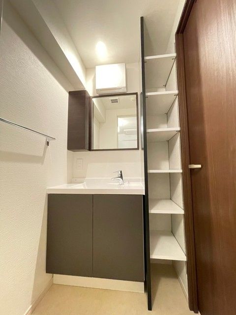 洗面設備　（別タイプ参考写真）レオーネ王子飛鳥山　北区西ヶ原2