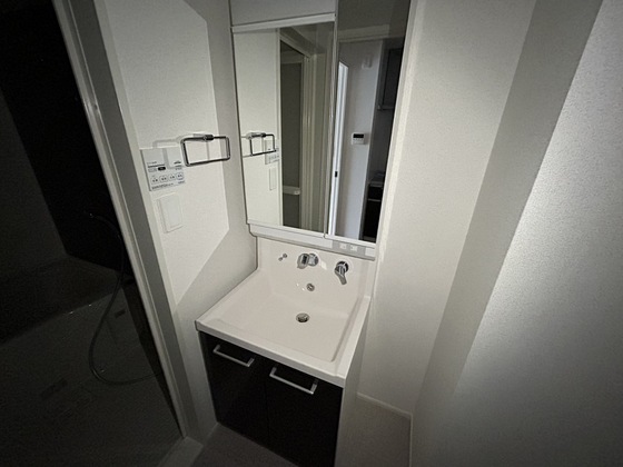 洗面設備　※別部屋の写真です