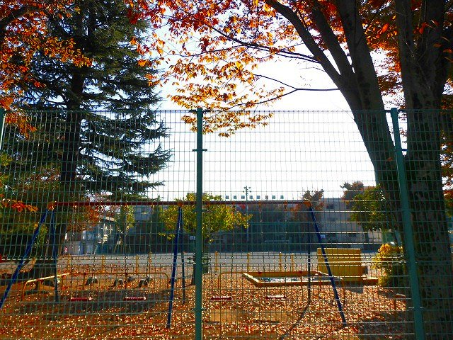 小学校　世田谷区立笹原小学校（小学校）まで226m