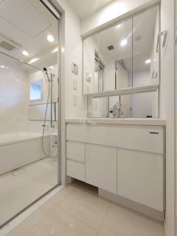 洗面設備　別部屋の参考写真となります