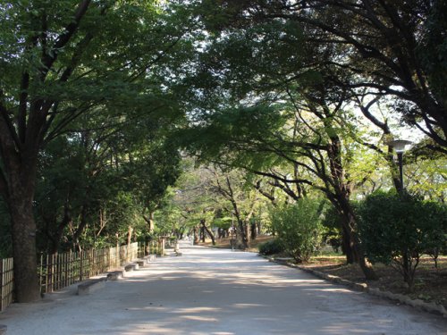 【北区栄町のマンションの公園】