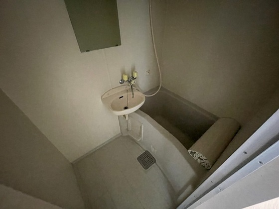 バス・シャワールーム　※別部屋の写真です