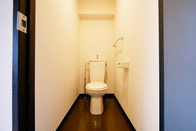 その他　落ち着いたトイレです