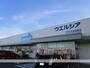 ドラックストア　ウエルシアひたちなか田彦店（ドラッグストア）まで600m