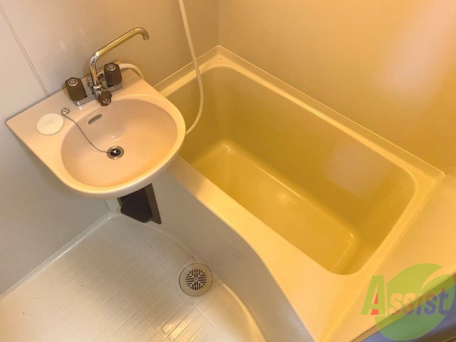 バス・シャワールーム　お風呂はこちらです。ゆったりできそうですね。