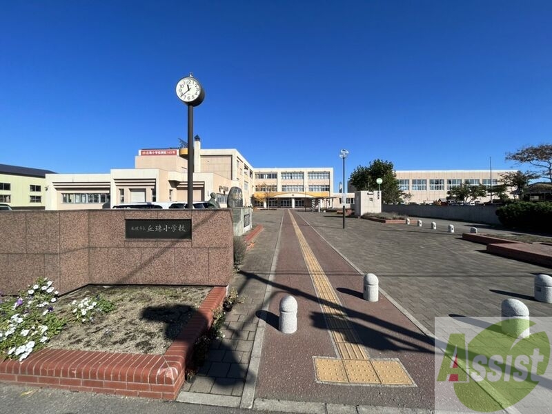 小学校　札幌市立丘珠小学校（小学校）まで905m