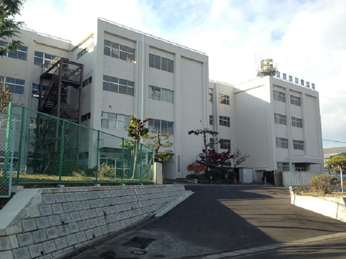 小学校　仙台市立南光台東小学校（小学校）まで800m