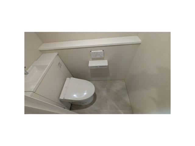 ザ レジデンスパーク栄のトイレ写真