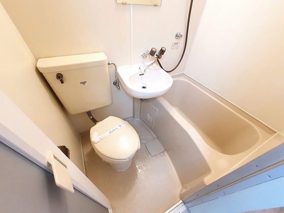 バス・シャワールーム　※別部屋の写真です