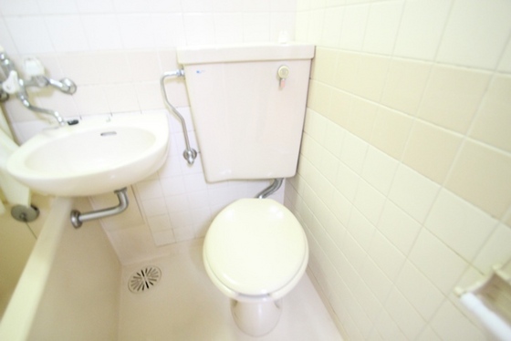 トイレ　※別号室の写真です