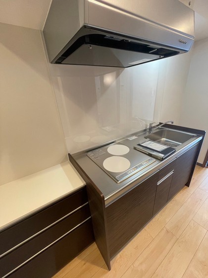 キッチン　※別号室の写真です