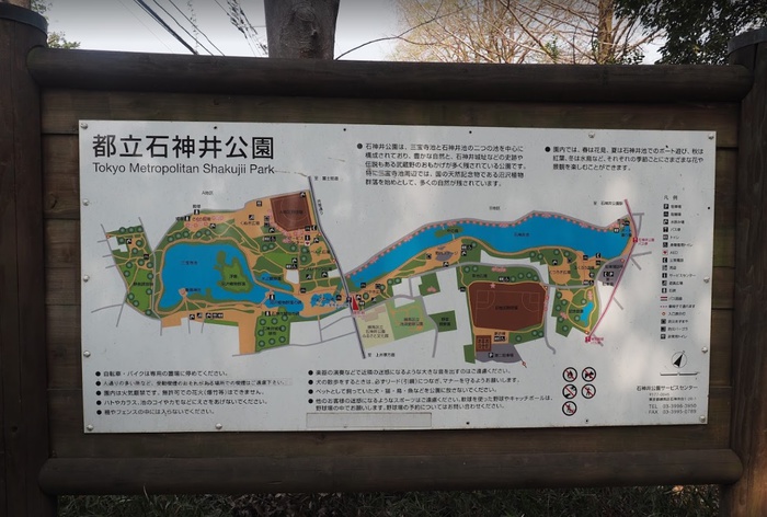 公園　石神井公園（公園）まで600m