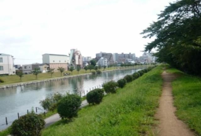 公園　亀戸九丁目緑道公園（公園）まで1062m