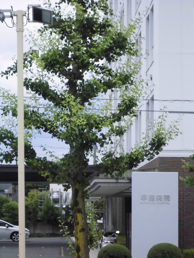 病院　早徳病院（病院）まで998m