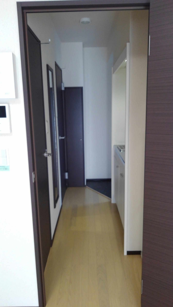 玄関　現況優先