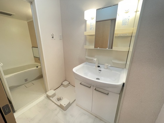 洗面設備　※別部屋の写真です