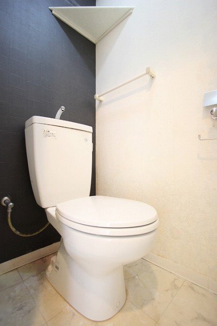 トイレ　同物件別号室のものです。