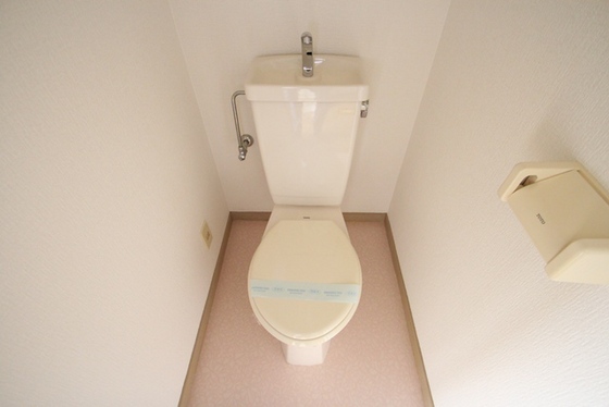トイレ　※別号室の写真です